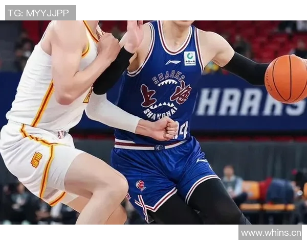 精彩赛事回顾：全程回顾激烈对决与关键时刻的震撼瞬间